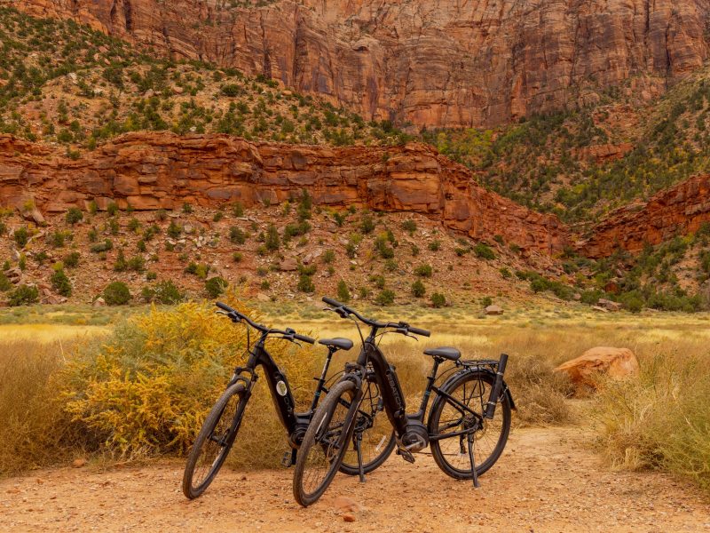 E-Bikes (1)
