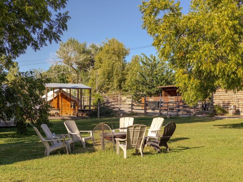 Yard (1)